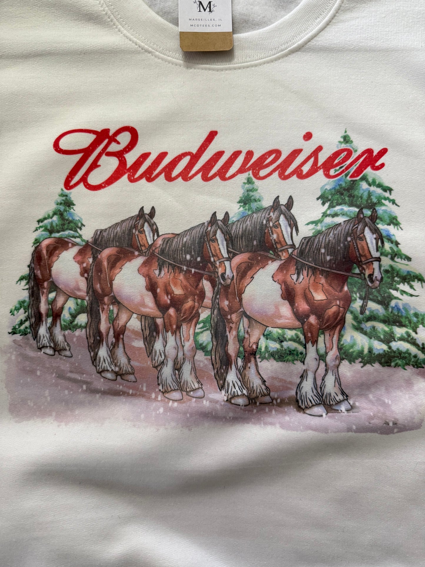 Clydesdale Winter